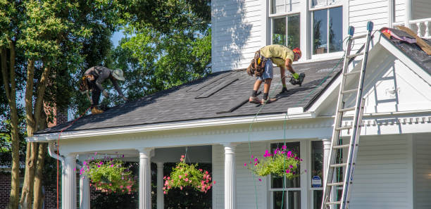 Best Roof Moss and Algae Removal  in Gberts, IL